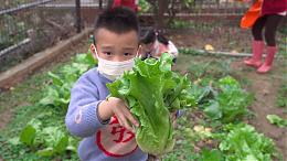 見稻五穀｜希望心部落｜伊甸基金會