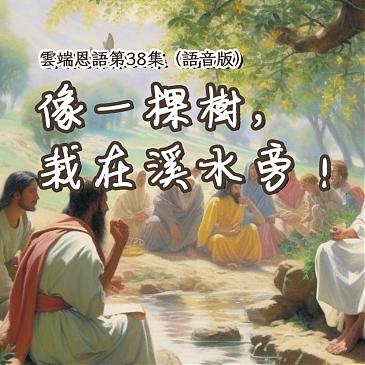 像一棵樹，栽在溪水旁！