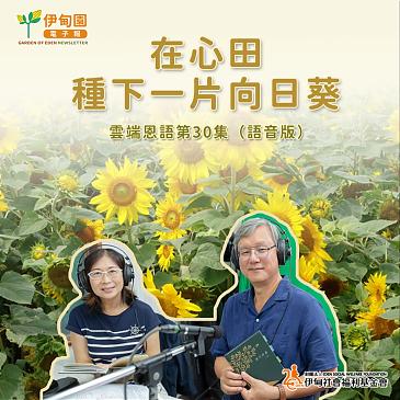 在心田種下一片向日葵