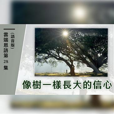像樹一樣長大的信心