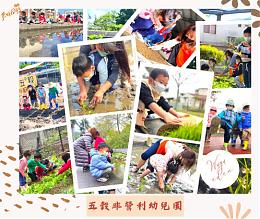 苗栗五穀非營利幼兒園4/8招生說明會開始報名囉！