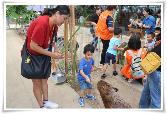 慢飛天使小宏與媽媽，親自餵食水豚，體驗與動物互動的樂趣。