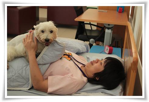 導聾犬Sisi導聾犬聽到鬧鐘聲叫身障學員小靜起床