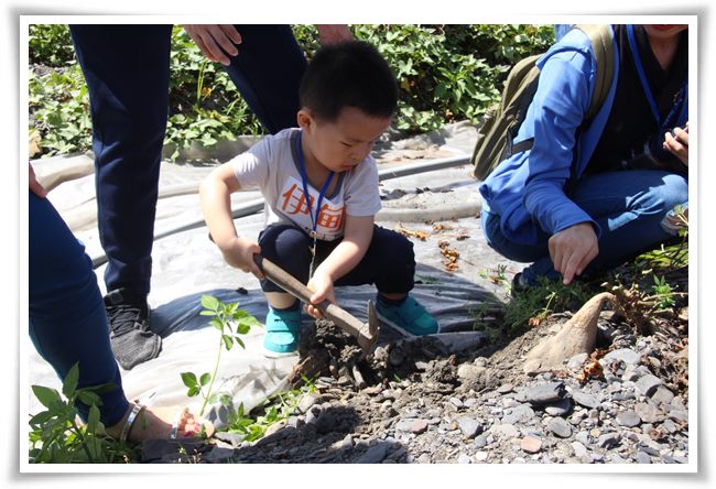 今年三歲的浩浩在經過730個日子的療育後，終於走出家門，與阿嬤一同享受挖地瓜的樂趣。