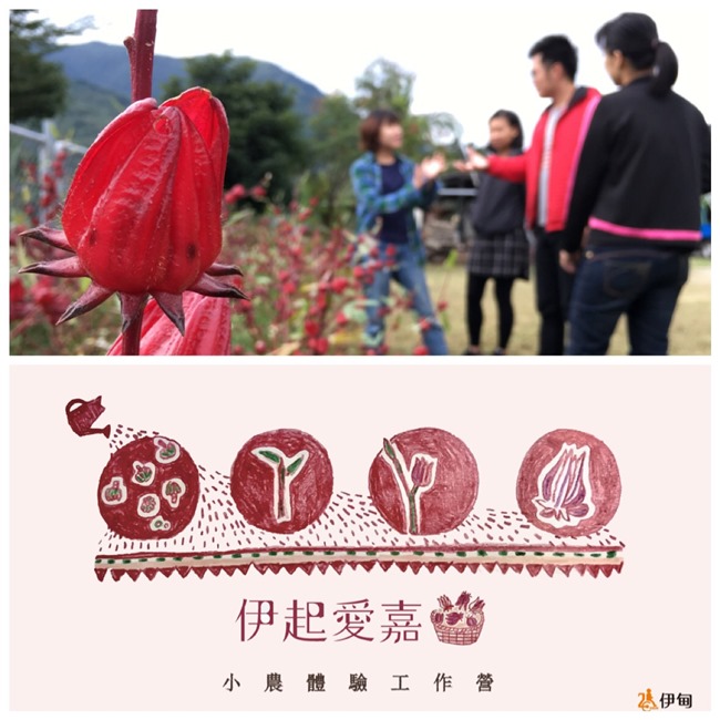 伊起愛嘉-小農體驗工作營活動dm