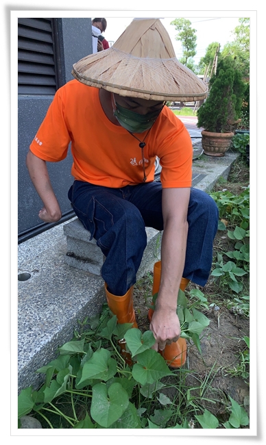 日照據點變身開心農場，身障青年冠廷相揪來挽菜