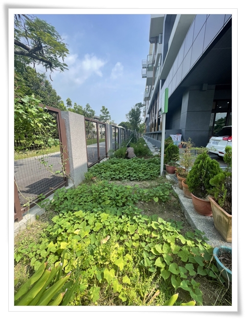 利用空地變身開心農場