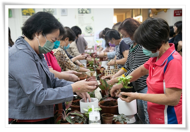 座談會結束，大家一起盆栽DIY