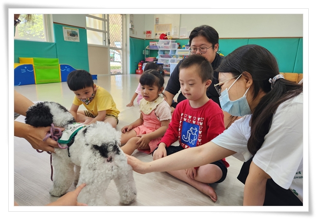 幼童觸碰治療犬錢錢,感受毛的觸感