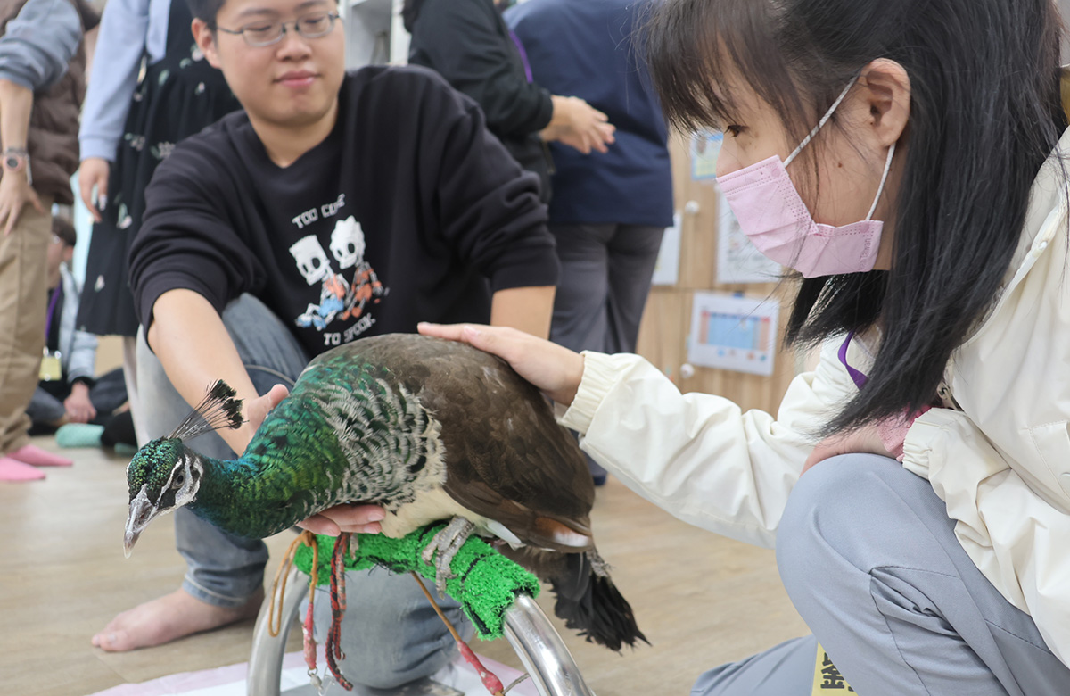 萌寵現身新莊幸福小作所 服務對象近距離探索自然世界
