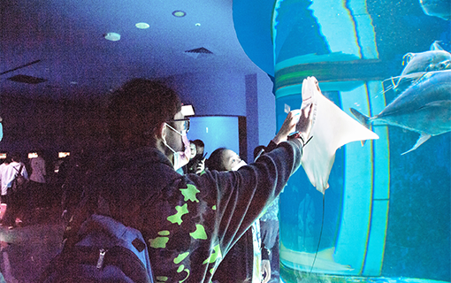 水族館共融活動 與海底生物見面好開心！