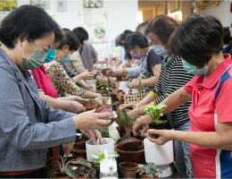 花在彰化 看見彰化女性花農故事