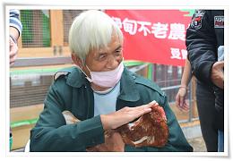 母雞醫生長濱報到！ 伊甸首間不老農場「友雞」開張