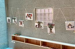 邀您欣賞，新竹啟照中心「我眼中的世界」身障攝影展