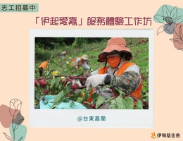 「伊起愛嘉」服務體驗工作坊 邀您體驗農耕樂趣
