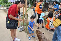 慢飛天使小宏化身動物飼養員 體驗餵食動物樂趣